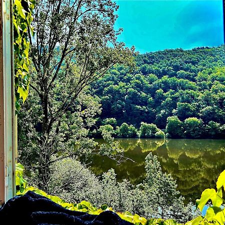 Le Chambon, Chambres D'Hotes Saint-Merd-de-Lapleau ภายนอก รูปภาพ