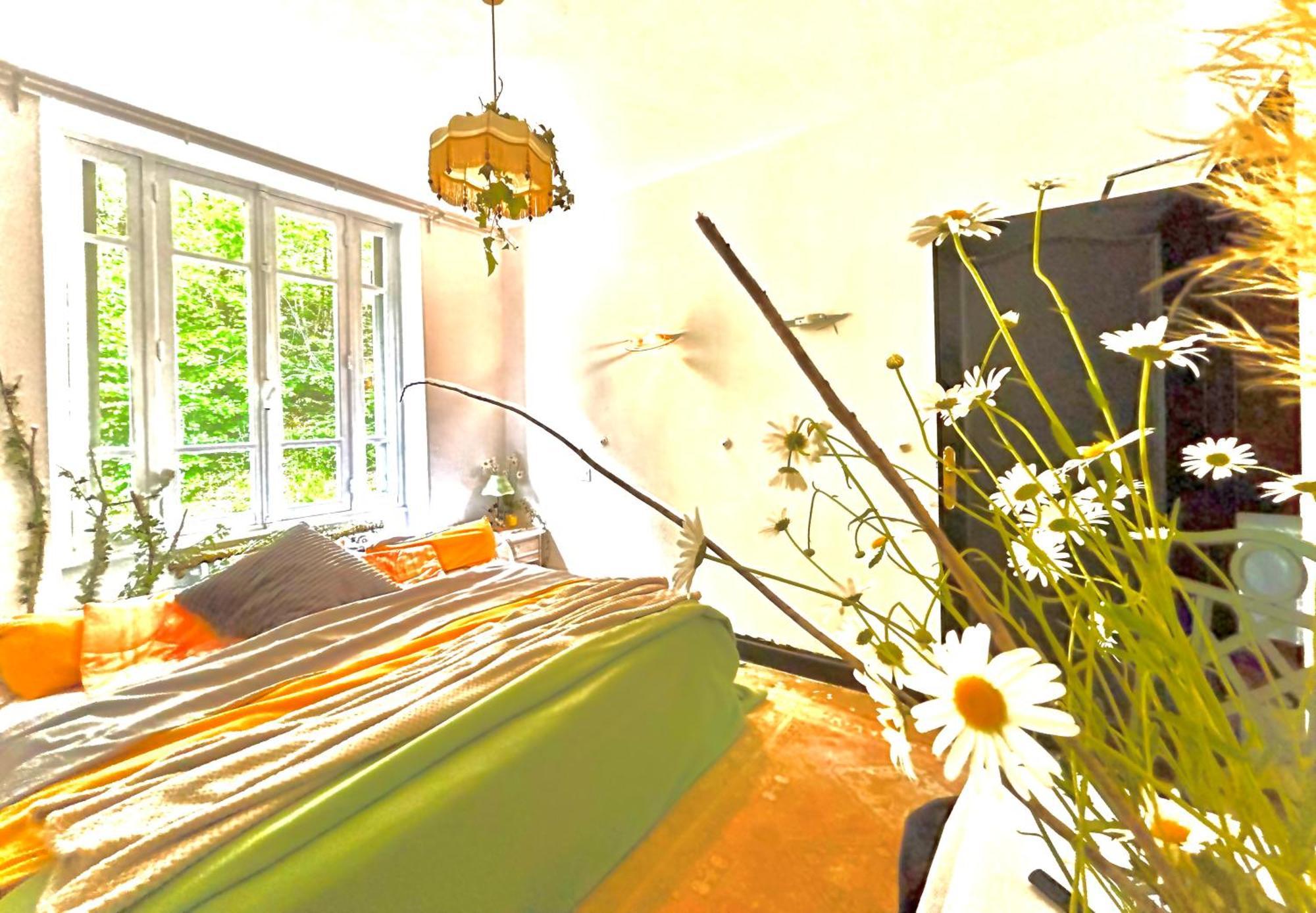 Le Chambon, Chambres D'Hotes Saint-Merd-de-Lapleau ภายนอก รูปภาพ