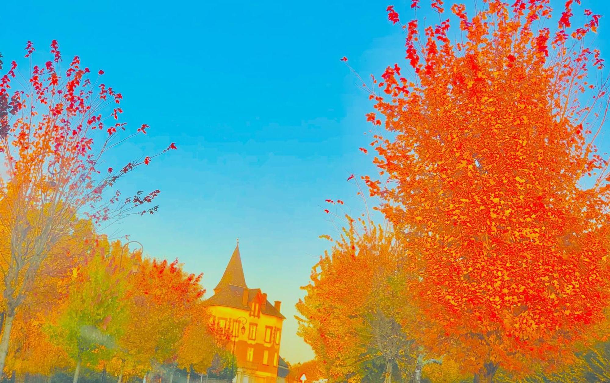 Le Chambon, Chambres D'Hotes Saint-Merd-de-Lapleau ภายนอก รูปภาพ