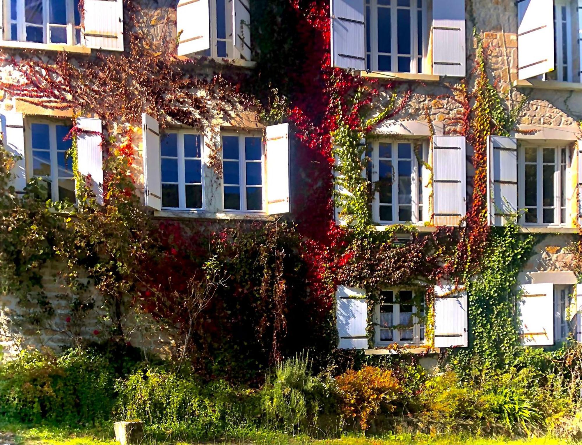 Le Chambon, Chambres D'Hotes Saint-Merd-de-Lapleau ภายนอก รูปภาพ